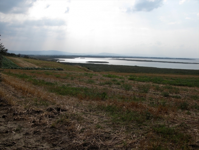 Manyas Gölü yakınlarında 300 bin yıllık olabileceği düşünülen bulgulara rastlandı
